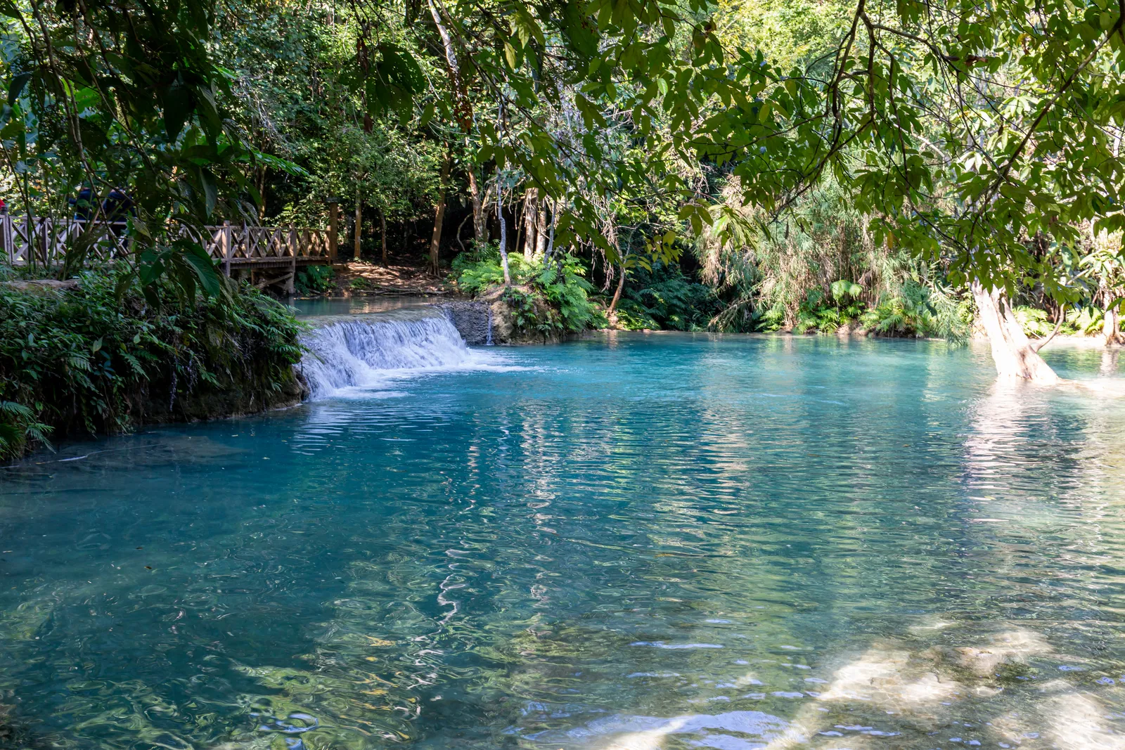 Piscina turchese delle cascate di Kuang Si in Laos circondata dalla giungla