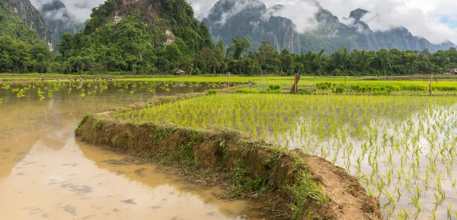 Assicurazione viaggio Laos: coperture, costi e consigli
