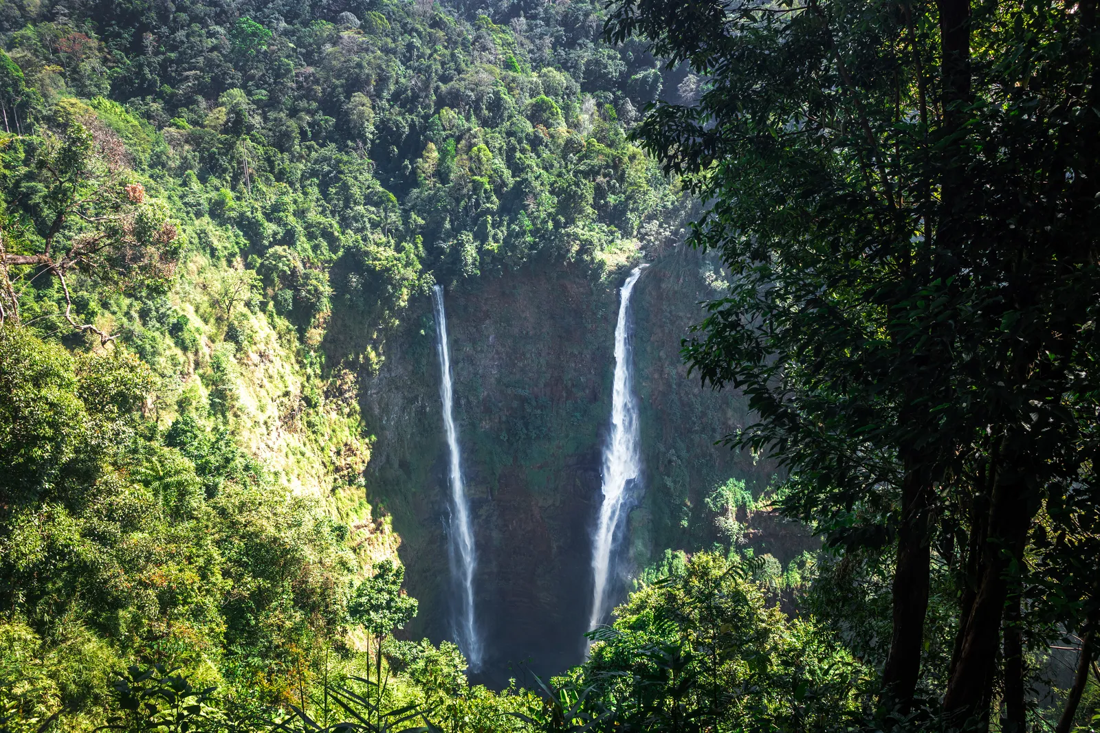 Doppia cascata di Tad Fane che si getta nella gola verde dell'altopiano del Bolaven, Laos meridionale