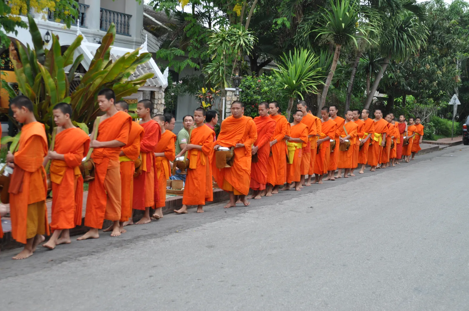 Processione di monaci bhikkhu in fila per le strade di Luang Prabang all'alba