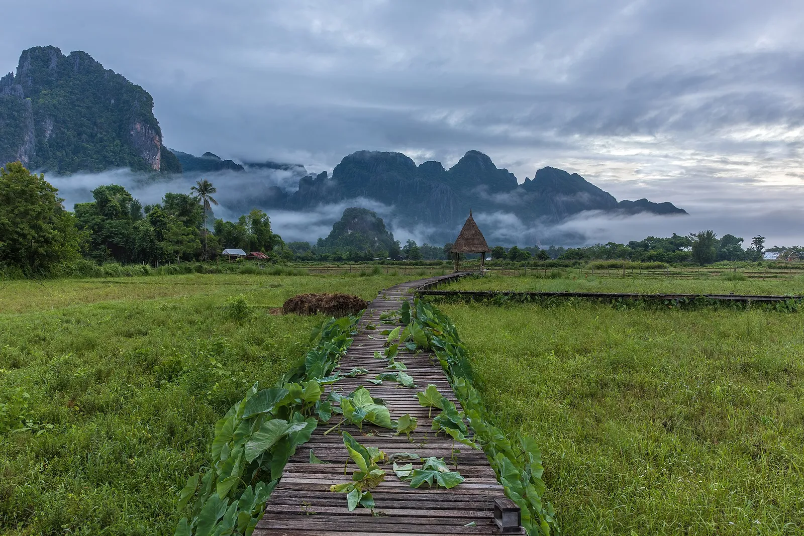 Karst di Vang Vieng all'alba Sentiero di legno tra risaie e montagne di karst all'alba a Vang Vieng in Laos